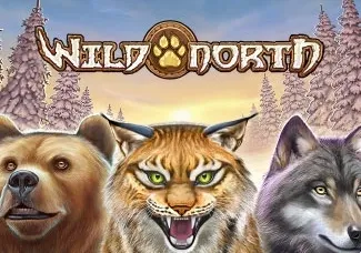 Wild North game thumbnail